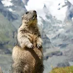 Panoramarestaurant Kaiser Franz-josefs-hoehe