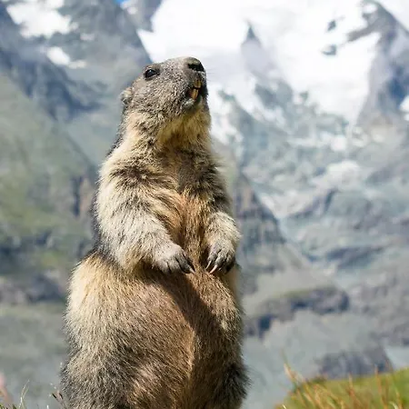 Panoramarestaurant Kaiser Franz-josefs-hoehe